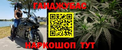 прущие крисы Камень-на-Оби